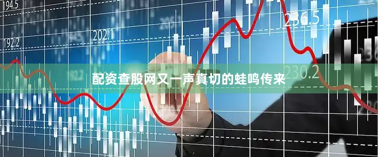配资查股网又一声真切的蛙鸣传来