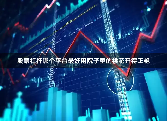 股票杠杆哪个平台最好用院子里的桃花开得正艳