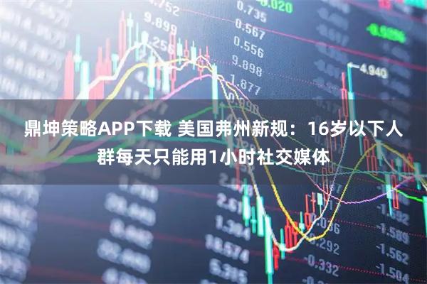 鼎坤策略APP下载 美国弗州新规:16岁以下人群每天只能用1小时社交媒体
