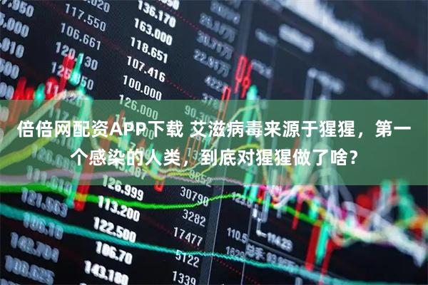 倍倍网配资APP下载 艾滋病毒来源于猩猩，第一个感染的人类，到底对猩猩做了啥？